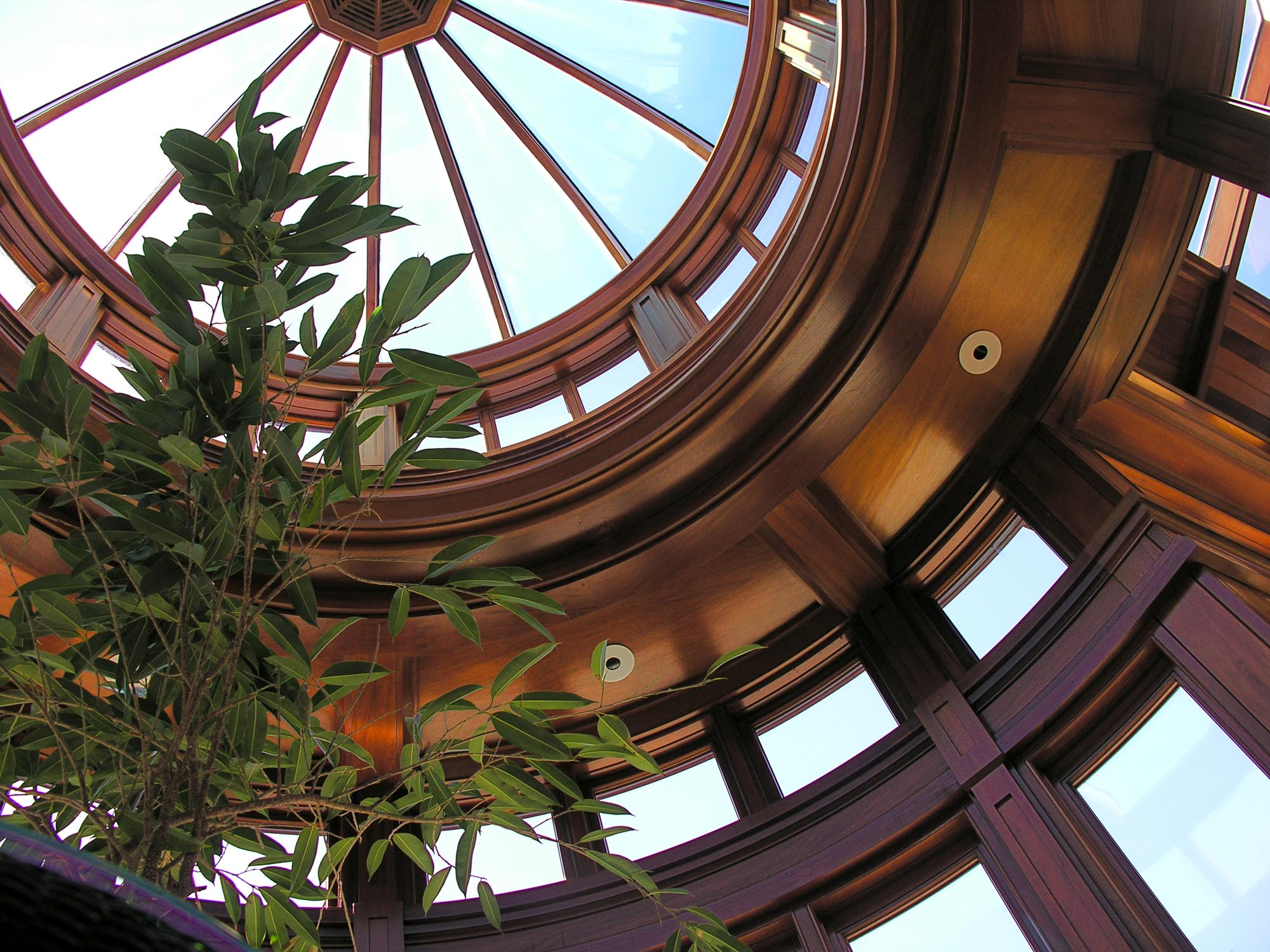 custom glass dome conservatory | dome interior view