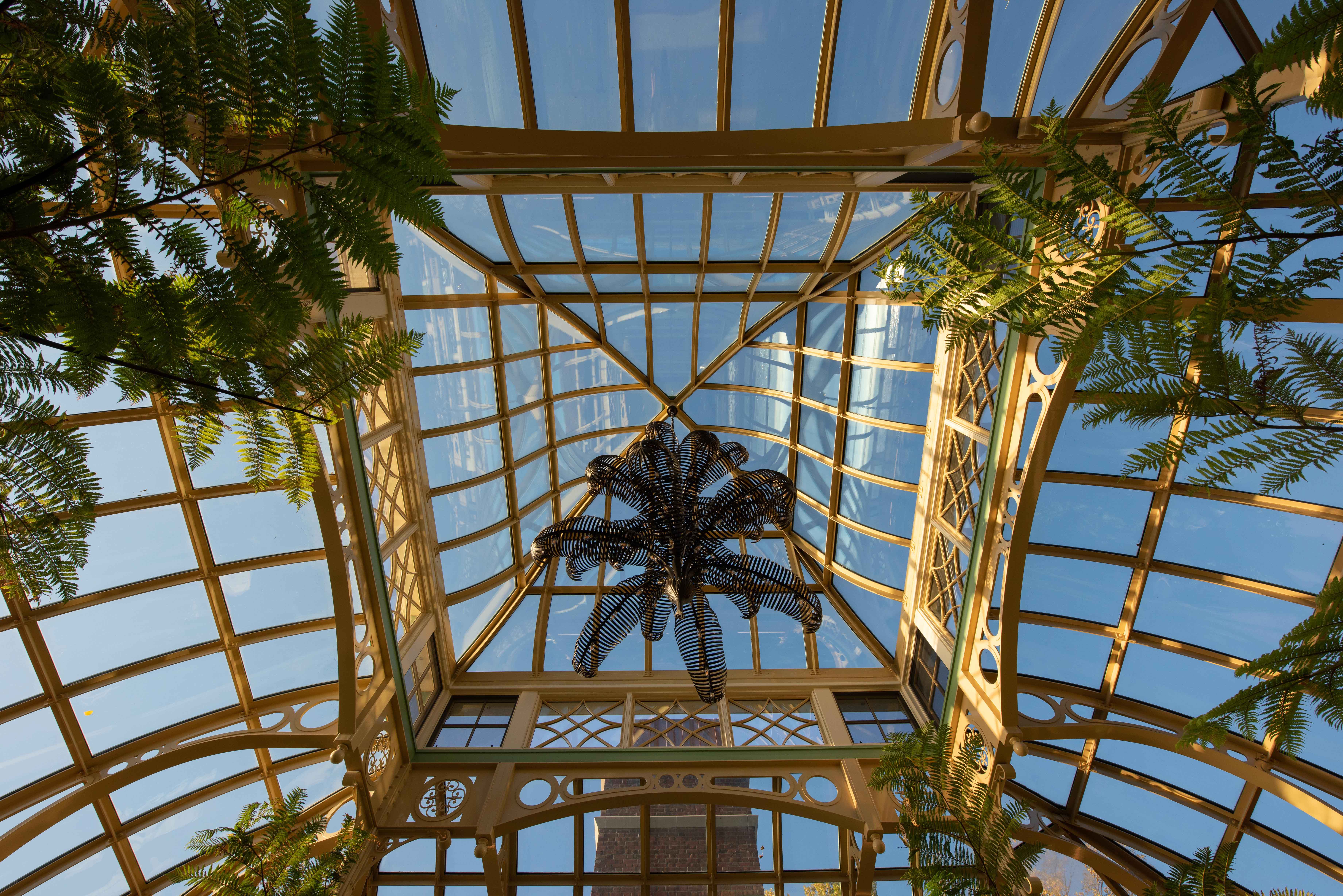 Custom steel and glass palm house roof and cupola, an interior shot
