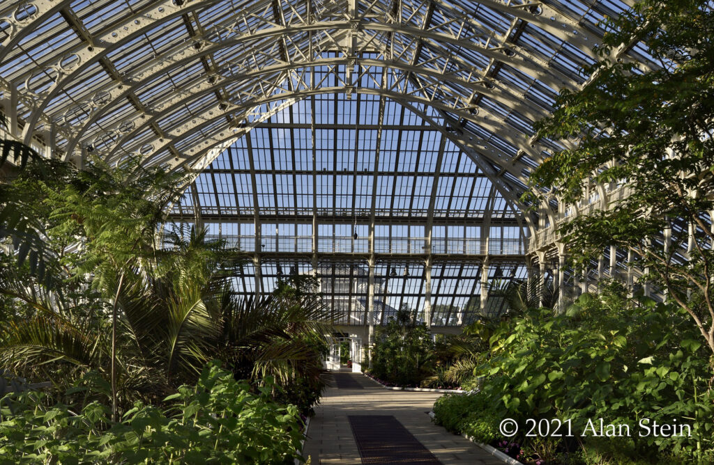 Inside the Temperate House | Kew Gardens, London
