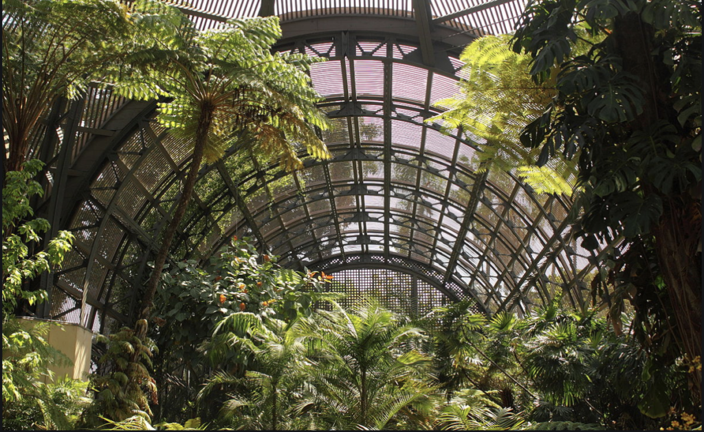 is it a conservatory? Balboa Park's Conservatory!