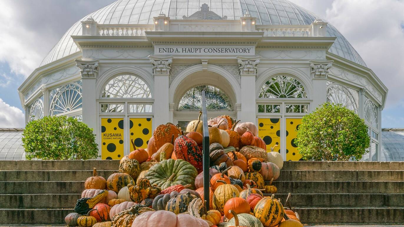 Explore these fall events at these public conservatories!