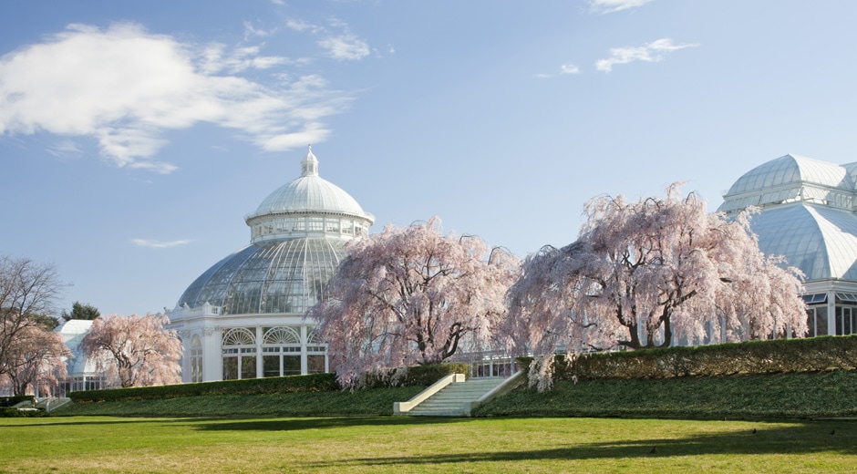 Mother’s Day Delight: Explore Events Happening At Your Local Public Conservatories