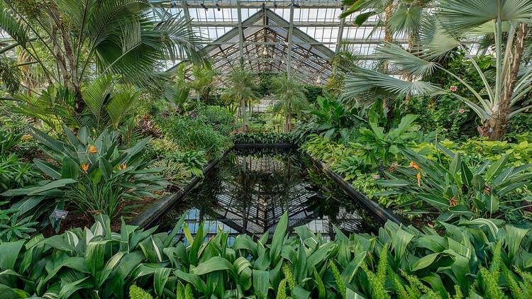 Love Blooms: Valentine’s Day Weekend Escapes at Your Local Public Conservatories