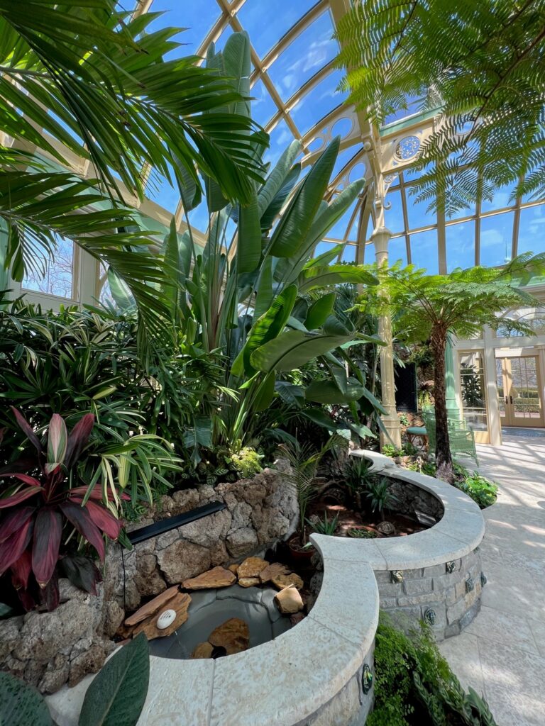 Interior palm house garden_custom greenhouse
